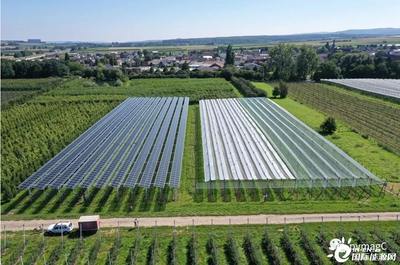 農業光伏系統 智能防護，抵御暴雨侵襲