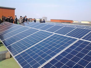 紹興市規(guī)模最大商業(yè)光伏發(fā)電項(xiàng)目成功并網(wǎng)發(fā)電